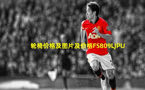 轮椅价格及图片及价格FS809LJPU