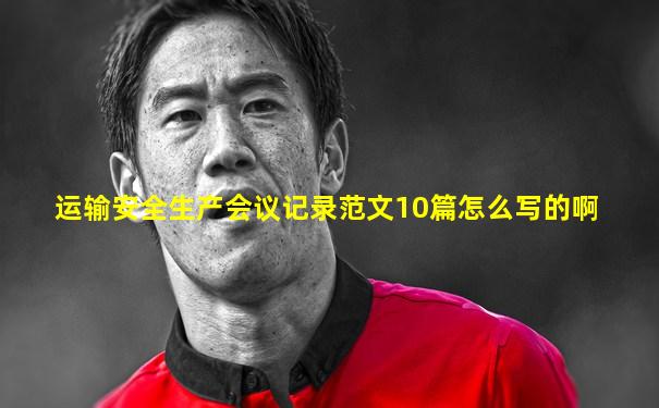 运输安全生产会议记录范文10篇怎么写的啊