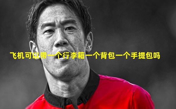 飞机可以带一个行李箱一个背包一个手提包吗